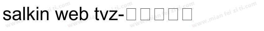 salkin web tvz字体转换